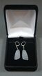 Powder Blue Agatized Dinosaur Bone Earrings #33829-2